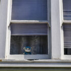 A crochet white teddy bear peeks through the window of a family home in the Ingleside neighborhood. The teddy bear wears blue scrubs, a stethoscope and a mask. As the COVID-19 pandemic stretches into its second year, evictions have resumed, and the city’s most vulnerable are bearing the brunt.