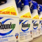 The science on the key ingredient in the top-selling U.S. weedkiller, Bayer's Roundup, is still in fierce dispute as the company settles thousands of lawsuits claiming health impacts for billions of dollars.